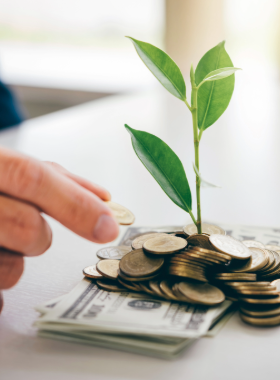 Conseil financier &<br>investissement